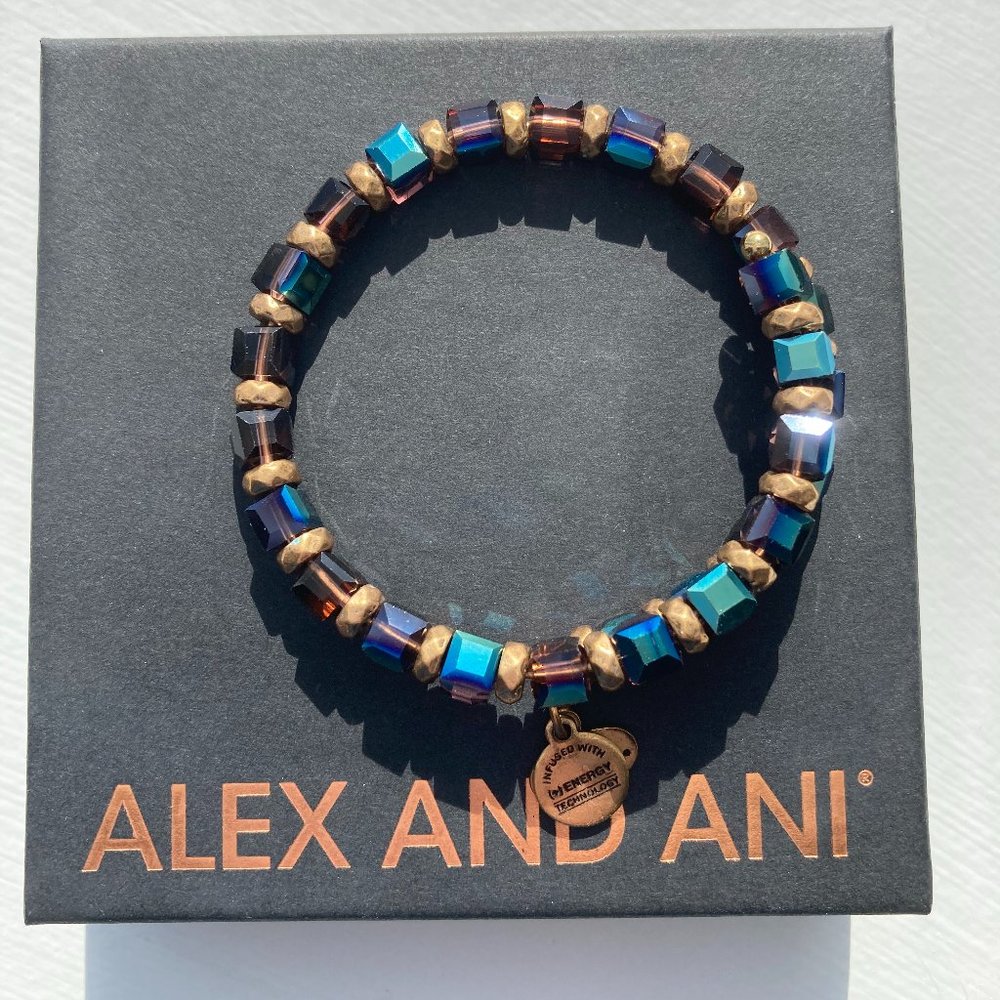 ☃️Alex and Ani WISH WRAP Arctic Rafaelian Bracelet